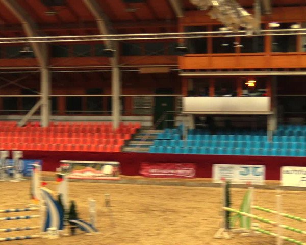 Reitturnier Neustadt/Dosse 2020