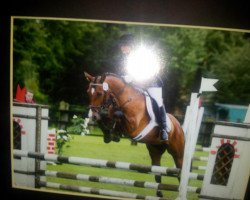dressage horse Lagos (German Riding Pony, 1995, from Halfweg Lover-Boy)