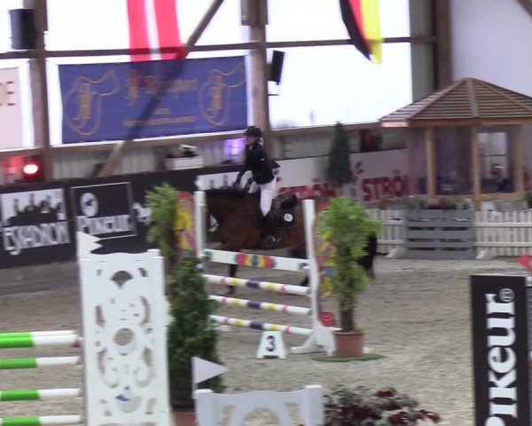 Nordic Jumping events 2020