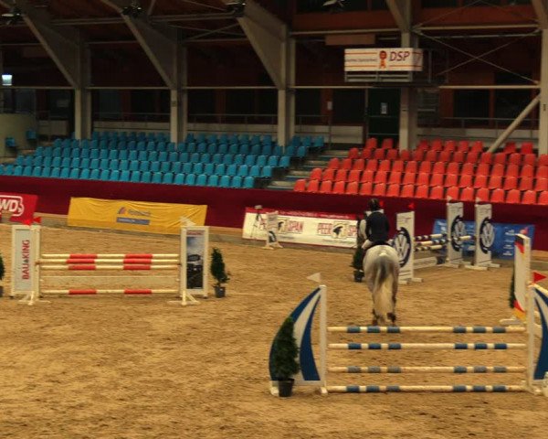 Reitturnier Neustadt/Dosse 2020