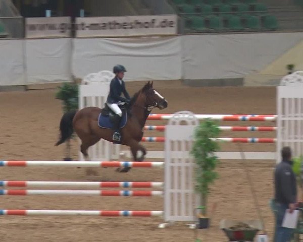 Reitturnier Kreuth/Opf. 2019