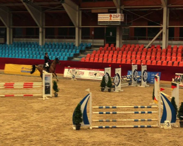 Reitturnier Neustadt/Dosse 2020