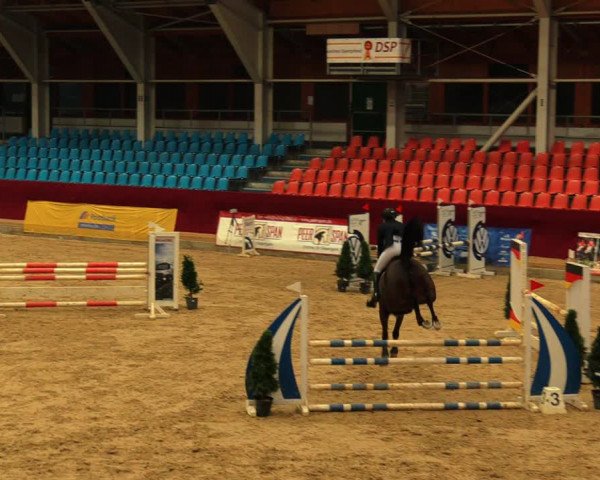 Reitturnier Neustadt/Dosse 2020