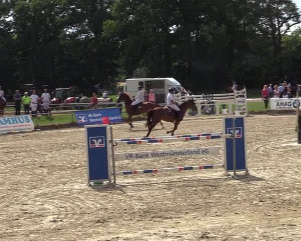 Reitturnier Coesfeld/Lette 2020