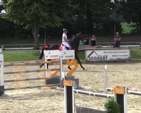 Reitturnier Coesfeld/Lette 2020