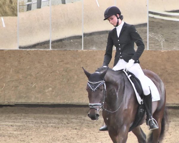 Reitturnier Reitanlage Birkenhof, Perl-Sinz 2020