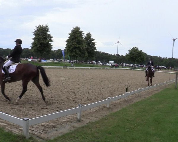 Reitturnier Coesfeld/Lette 2020