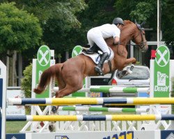Cavallo da salto Le Beau R (Hannoveriano, 2005, di Le Primeur)