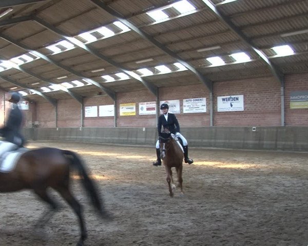 Reitturnier Kirchhoven-Vinn 2020