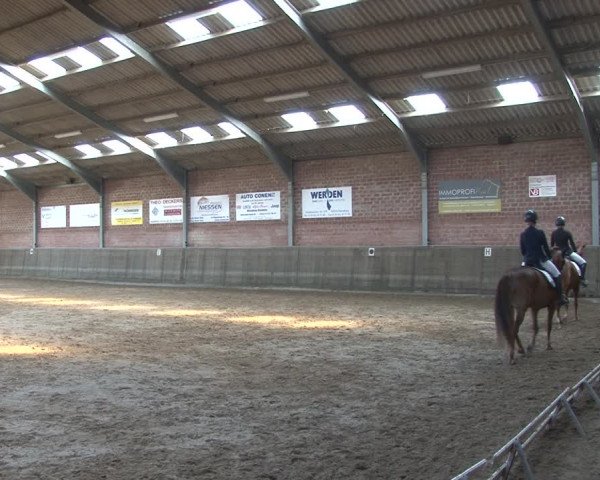 Reitturnier Kirchhoven-Vinn 2020