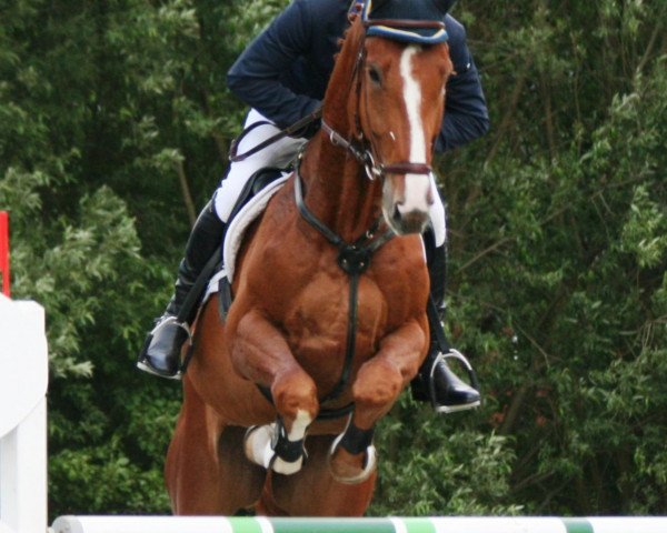 jumper Le Charmeur R (Hanoverian, 2004, from Le Primeur)