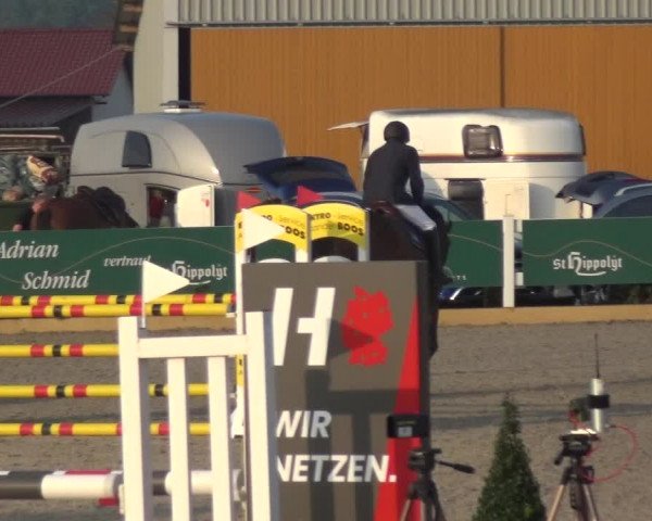 Reitturnier Sauldorf-Boll 2020