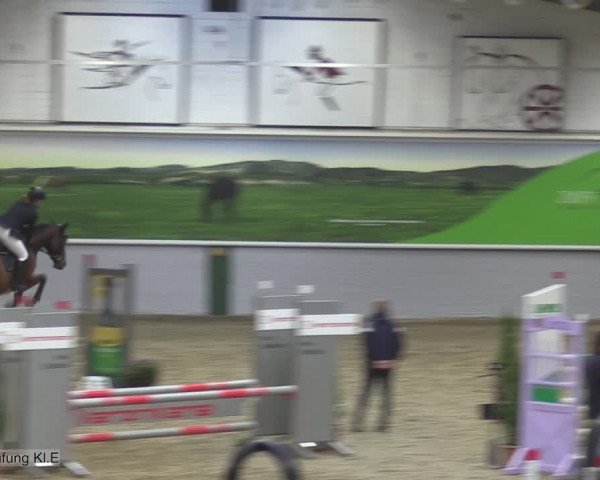 Reitturnier Legden 2020