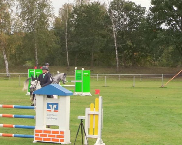 Reitturnier Gardelegen 2020