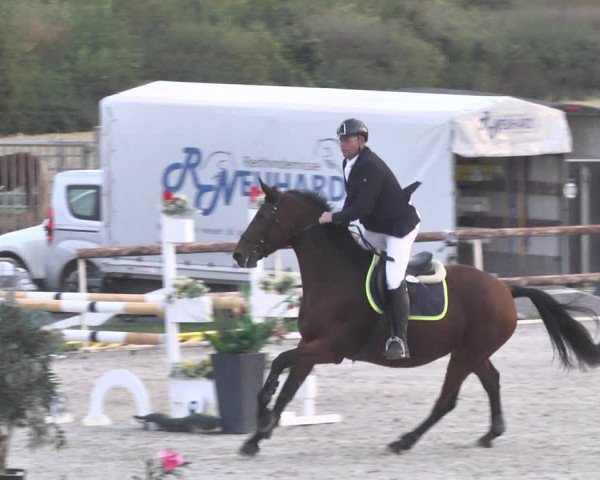Reitturnier Worms-Pfeddersheim / Reitsportanlage Wittemer 2020