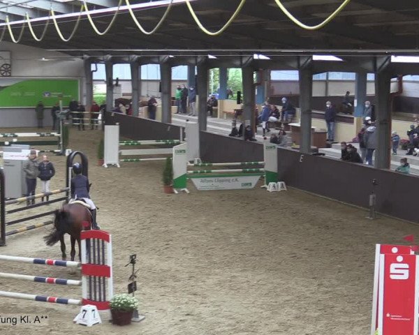 Reitturnier Legden 2020
