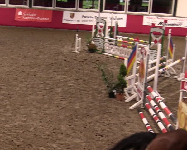Reitturnier Salzkotten 2020