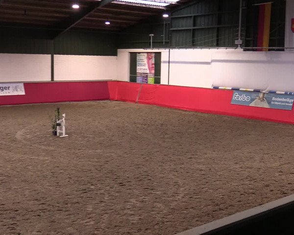 Reitturnier Salzkotten 2020
