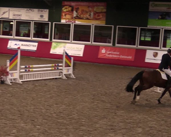 Reitturnier Salzkotten 2020