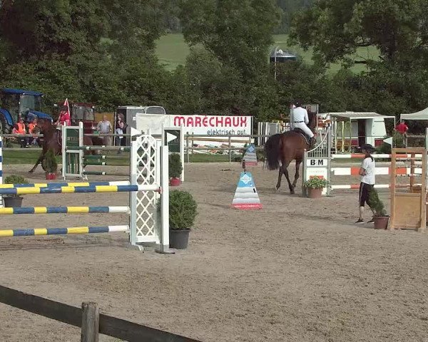 Reitturnier Ruswil 2021