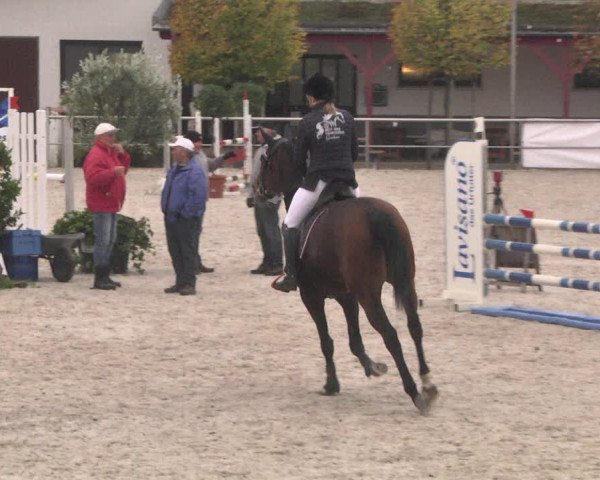 Reitturnier Achern 2020
