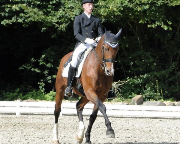 Dressurpferd Leader W (Hessisches Warmblut, 1997, von Lagoheidor G)