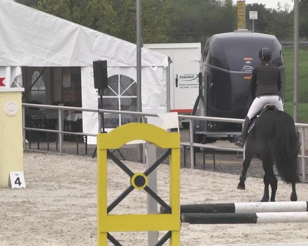 Reitturnier Achern 2020