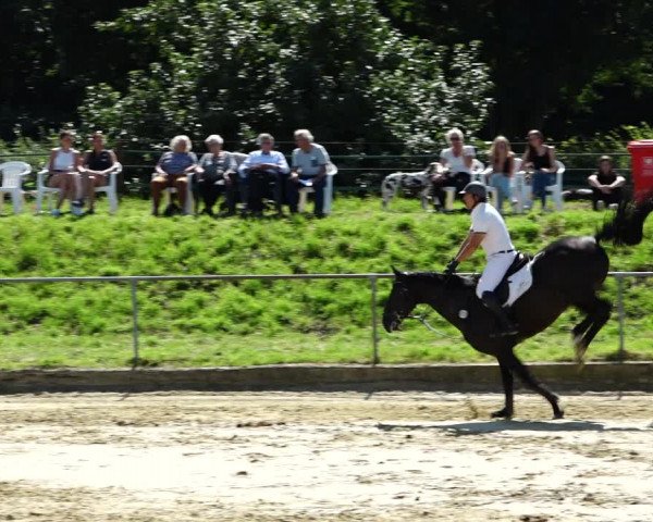 Reitturnier Kirchhoven-Vinn 2021