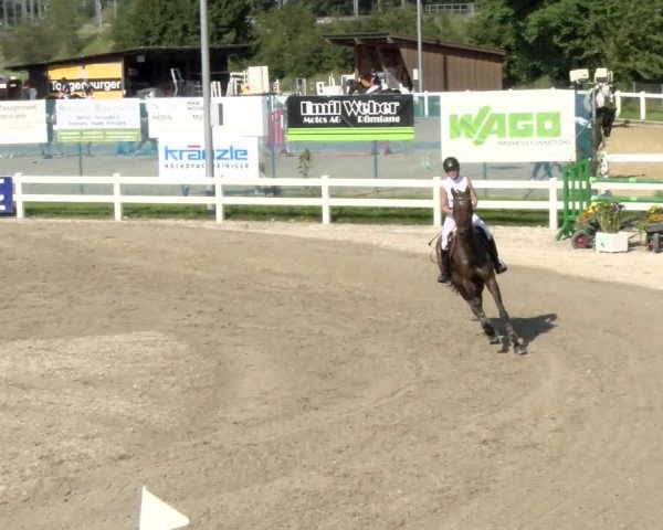 Pferdesporttage Rafzerfeld - Hüntwangen 2021
