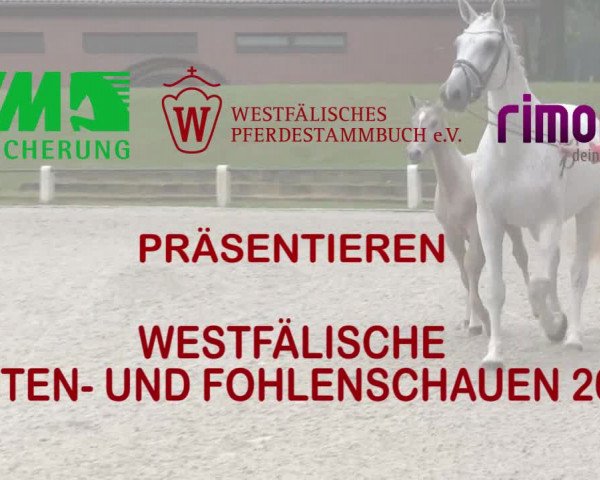 Stuten- und Fohlenschau Heiden 2018