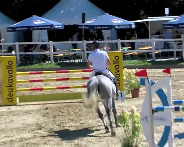 Video of Betty