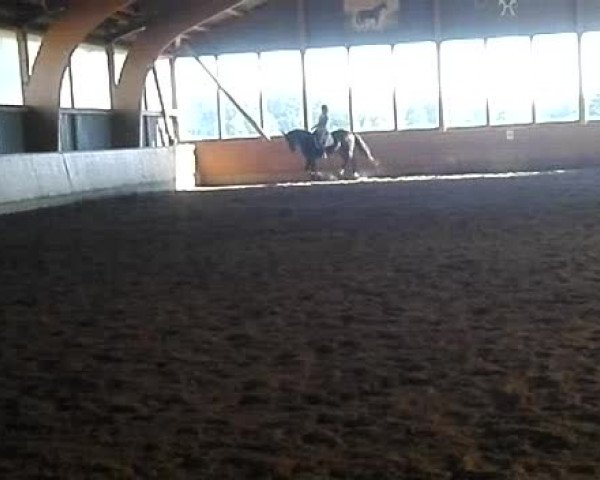 Video of Farouche F