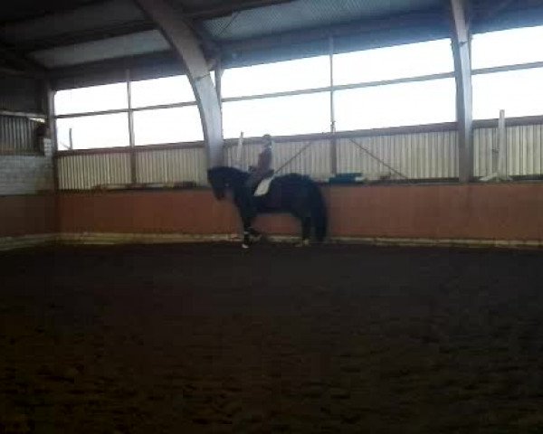 Video of Farouche F