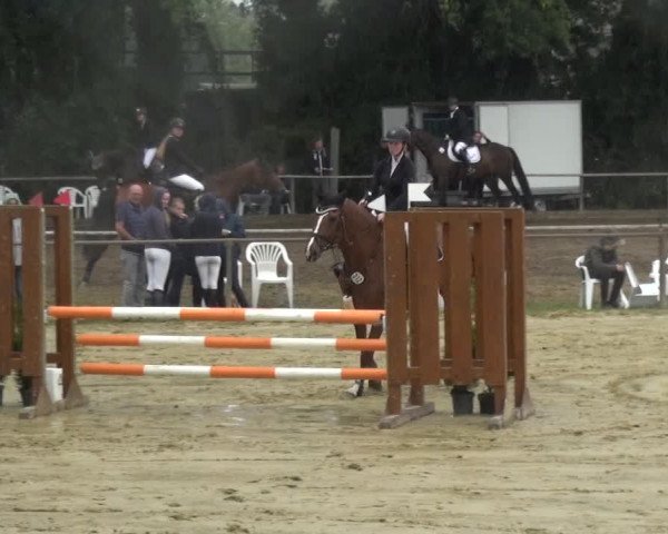 Reitturnier Willich-Anrath-Neersen 2021