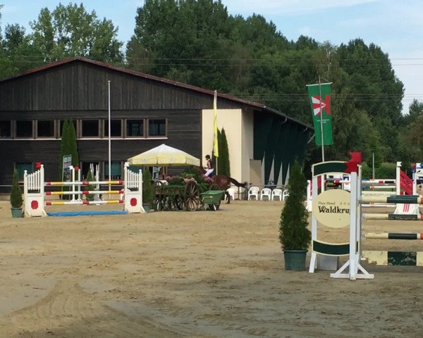 Video of Fitch