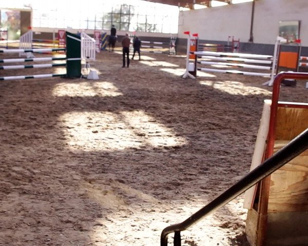 Video of Con Amour 5