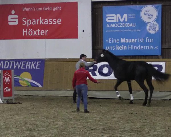 Westfälisches Freispringfinale 2019