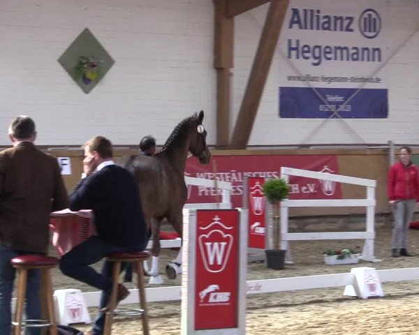 Westfälisches Freispringfinale 2019