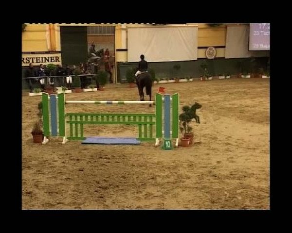 Kleine Trophy des Wartseiner Reitverein e.V.
Samstag,den 12.November 2011
08 Springprfg.Kl.S m.St.*
