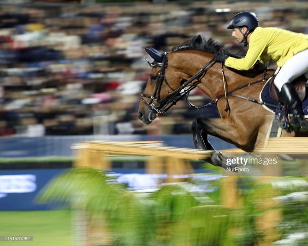 jumper Casantos (KWPN (Royal Dutch Sporthorse), 2007, from Carthino Z)