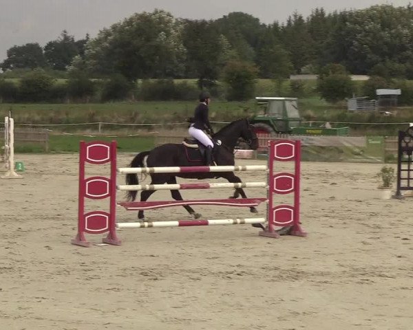 Reitturnier Schülp / Rendsburg 2018