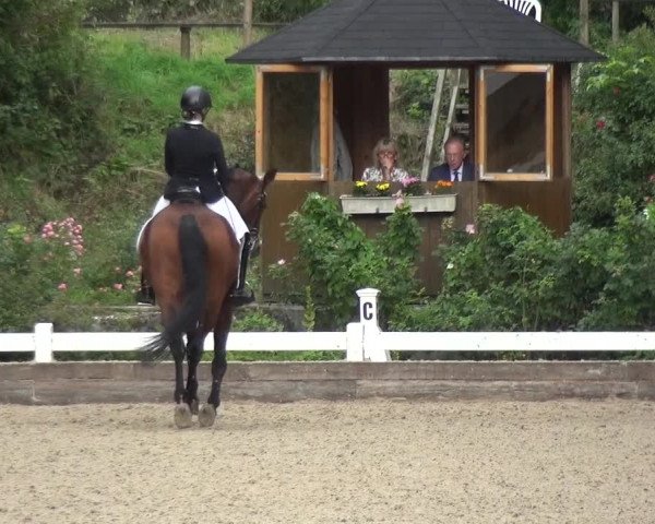 Reitturnier Mettmann - Reitanlage Löckenhoff 2018
