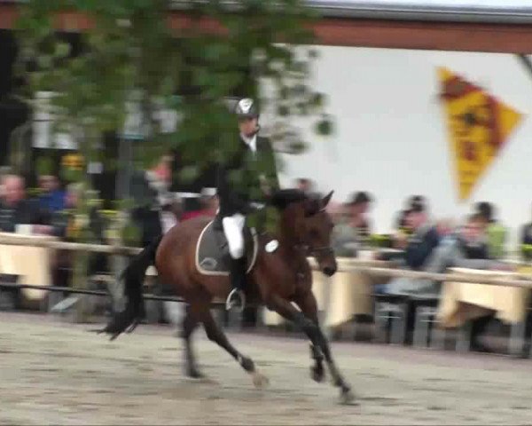 Video von Nico 1296