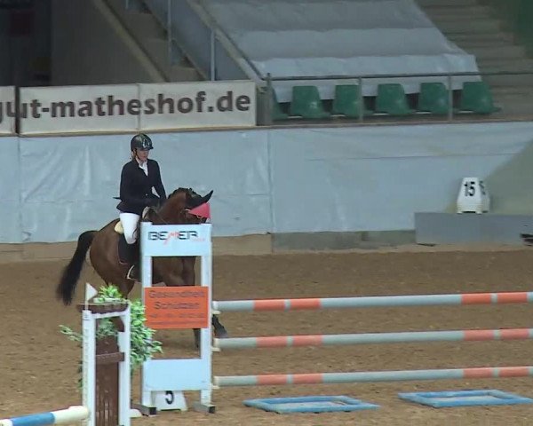 Hallenspringturnier Kreuth 2022