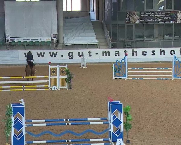 Hallenspringturnier Kreuth 2022