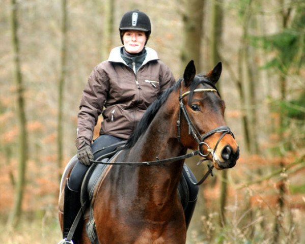 horse Hirtenglanz (Trakehner, 2009, from Grand Passion)