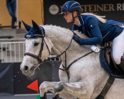 broodmare Baumann's Cherie (Westphalian, 2010, from Congress)