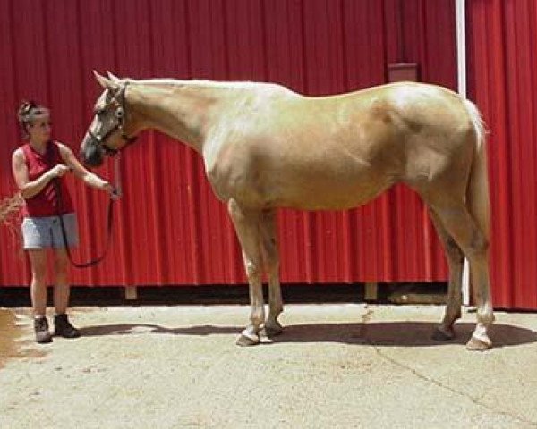 broodmare Rff Golden Miracle xx (Thoroughbred, 1998, from Glitter Please xx)