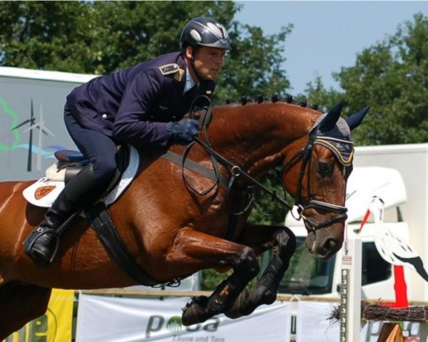 jumper Castell 4 (Oldenburg, 1994, from Carte d'Or)