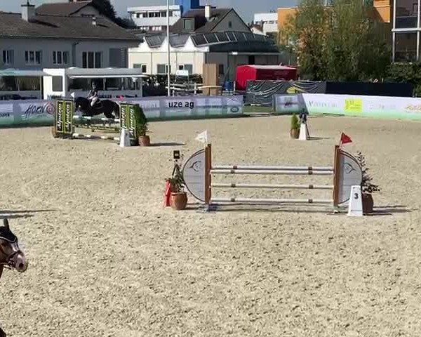 Reitturnier Horn 2021